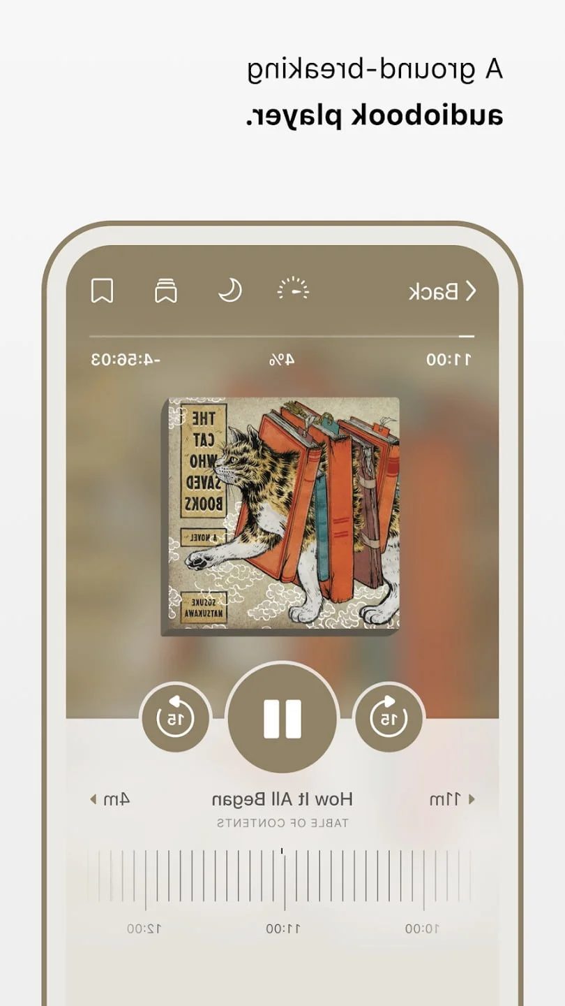 Libby App Audiobook
